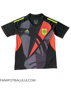Spania Portarii Tricou Fotbal Replică European 2024 Barbati Deplasare